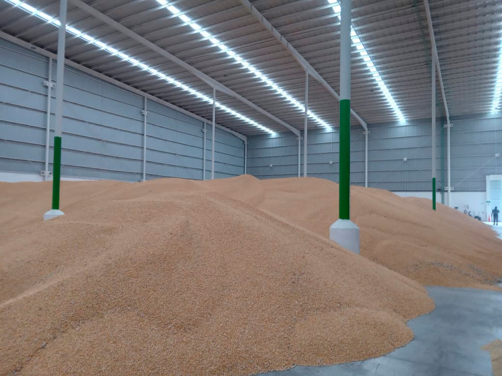 Operación logística para Agronegocios